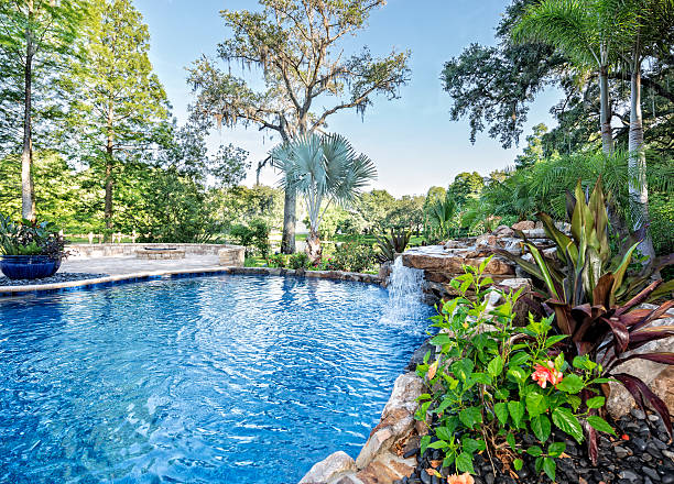 Les Jardins Dadonis Paysagiste A Orvault Hibiscus Piscine