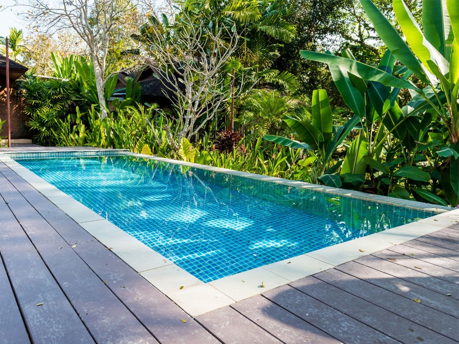 Plantation autour de la piscine : Comment créer un espace luxuriant ?